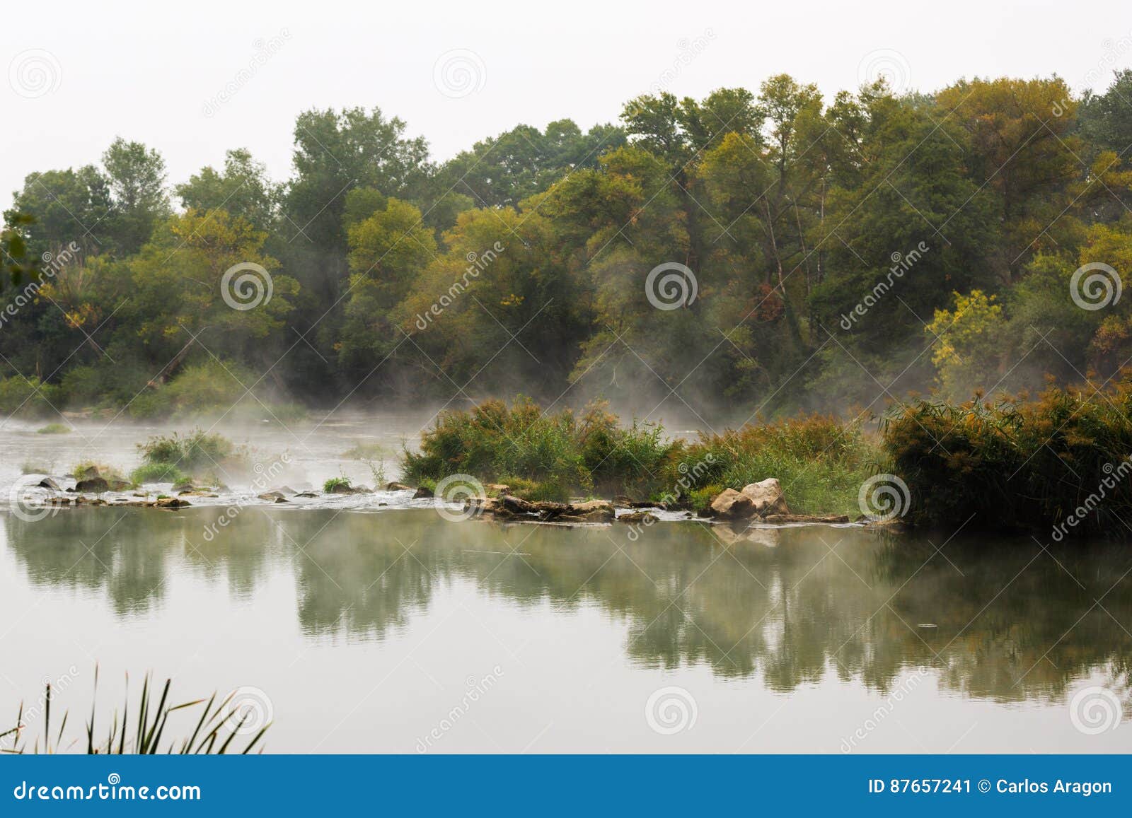 view of a misty river in lodosa, spain