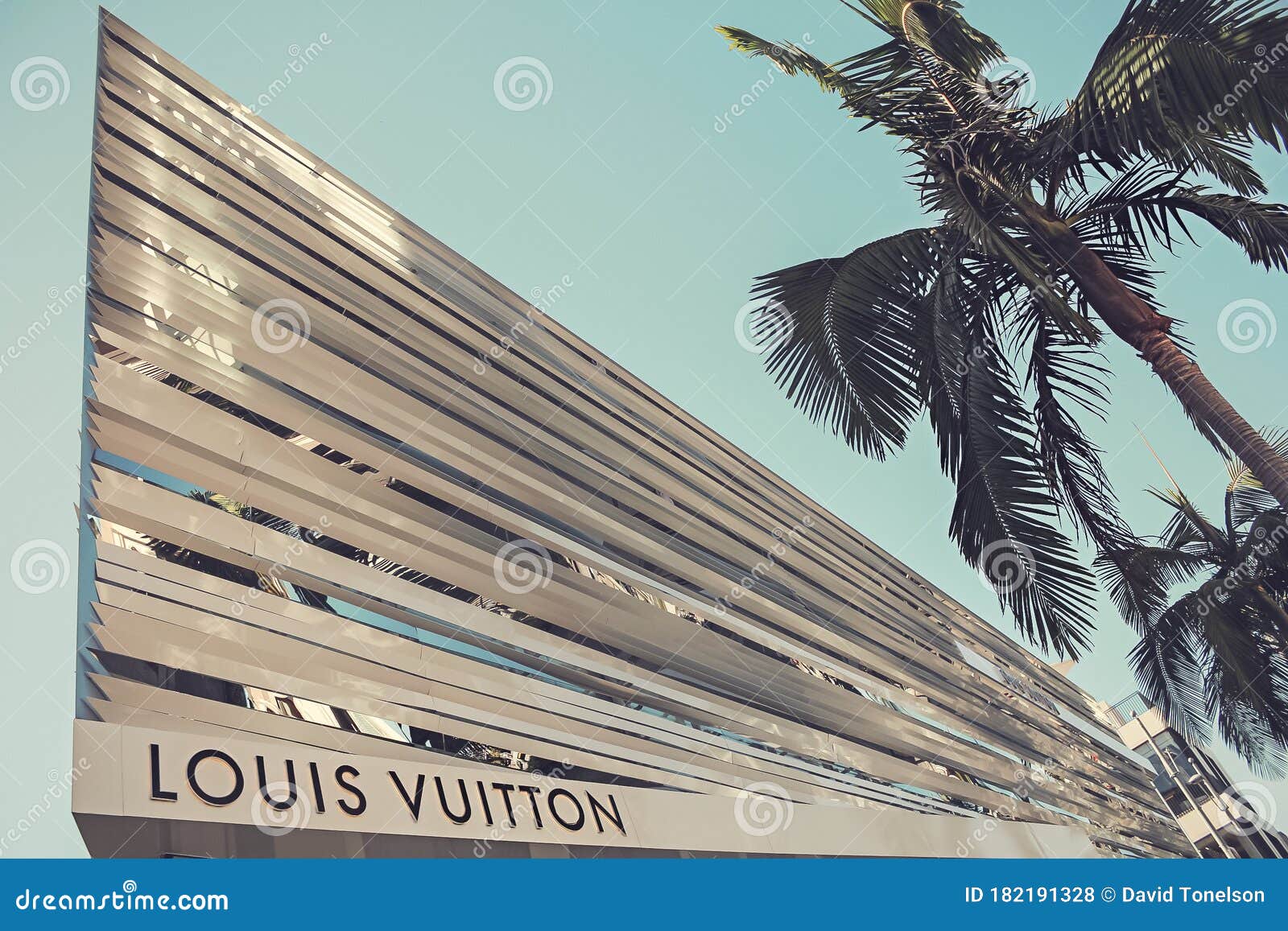 louis vuitton palm tree