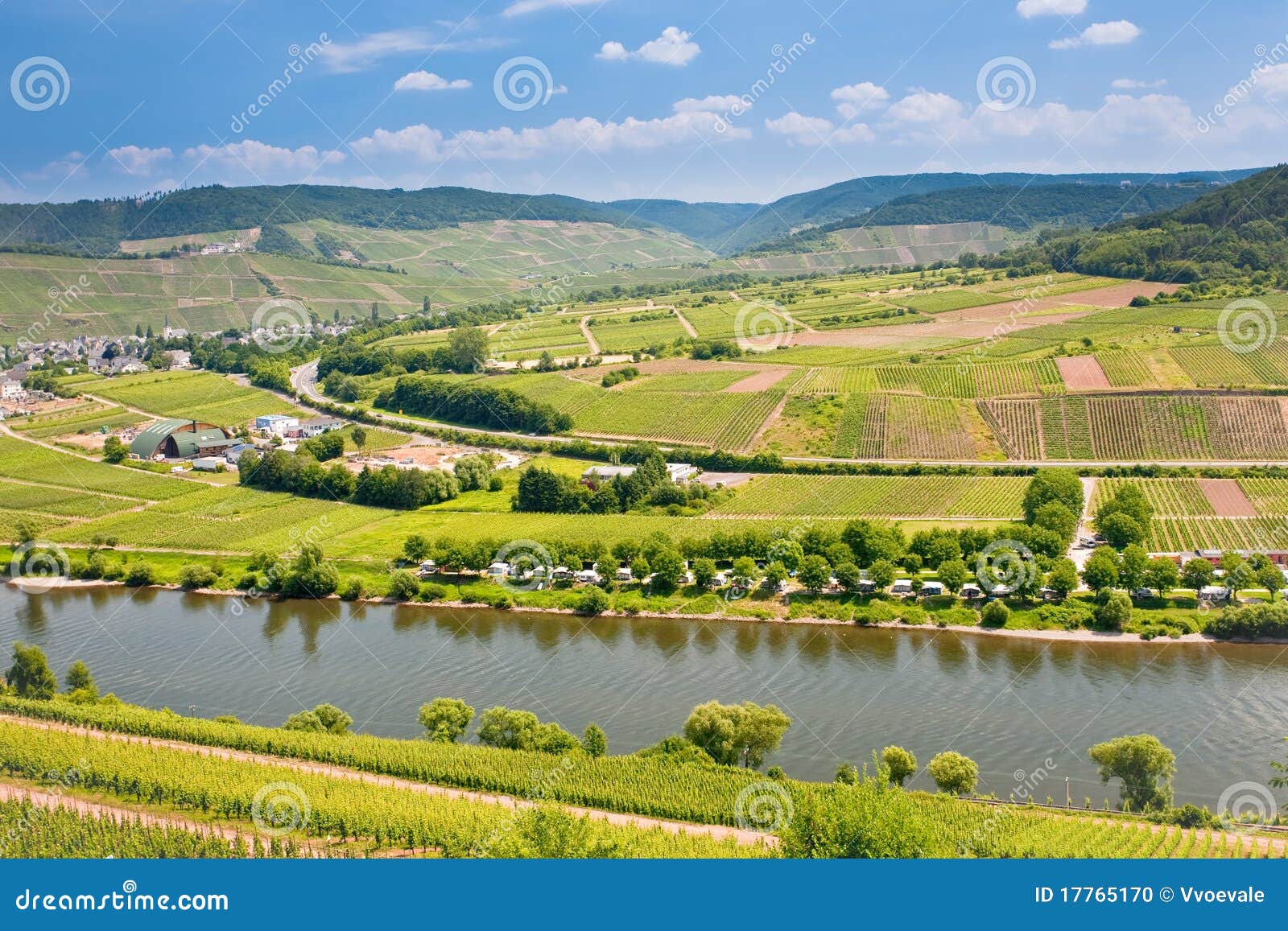 View on Moselle Valley in Germany Stock Photo Image of forest