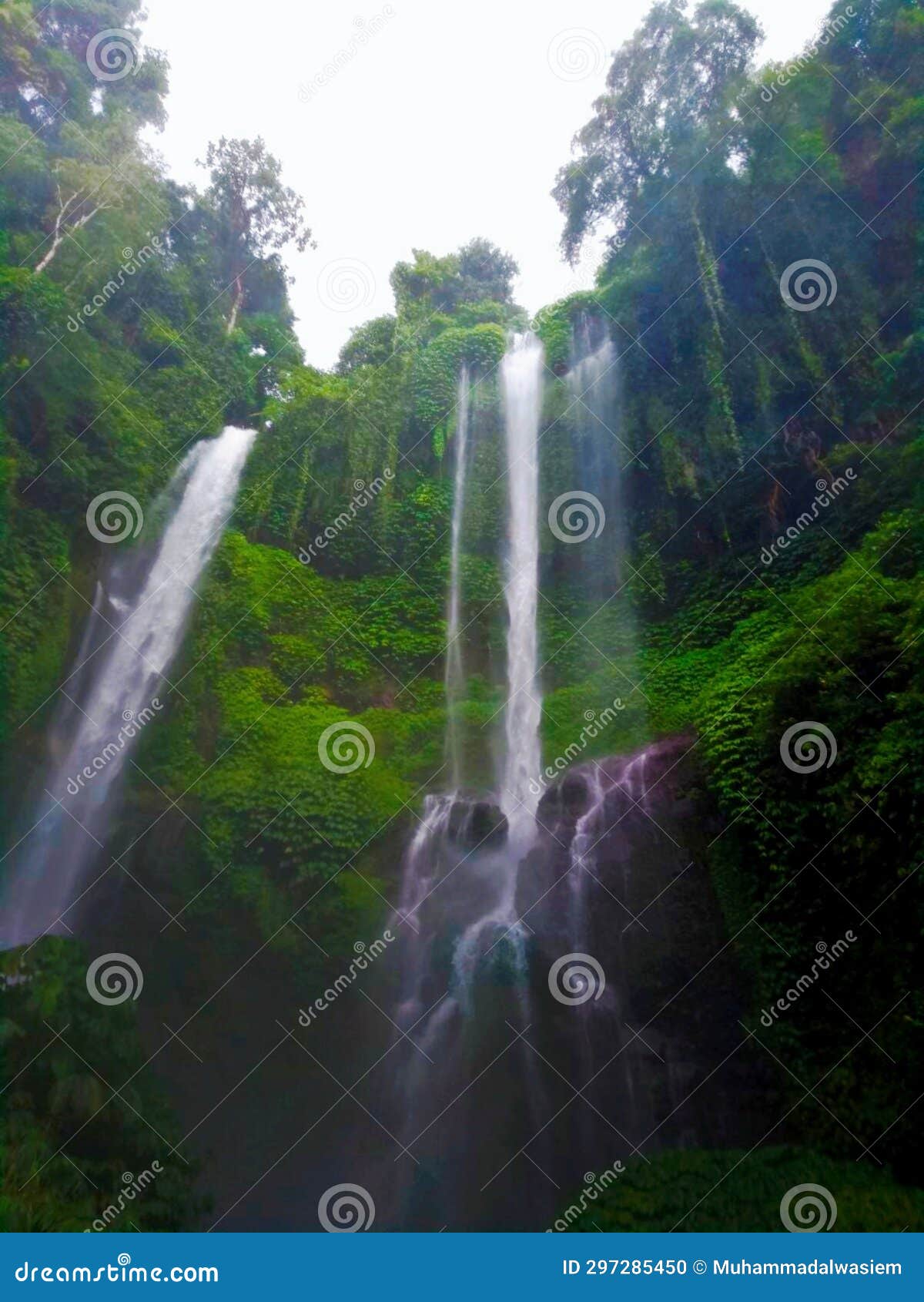 The View of the Most Beautiful Waterfall in Bali that Makes the Eyes