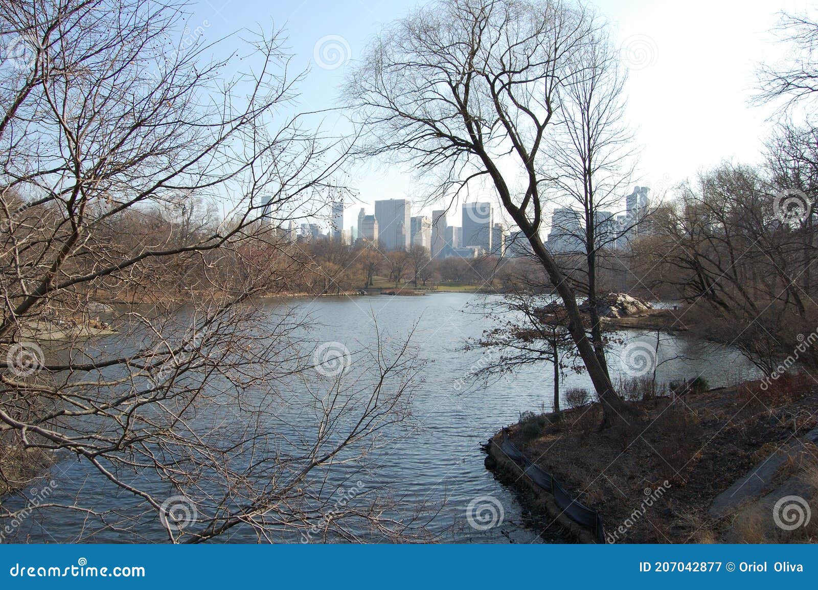 view of the most emblematic buildings and skyscrapers of manhattan (new york). central park