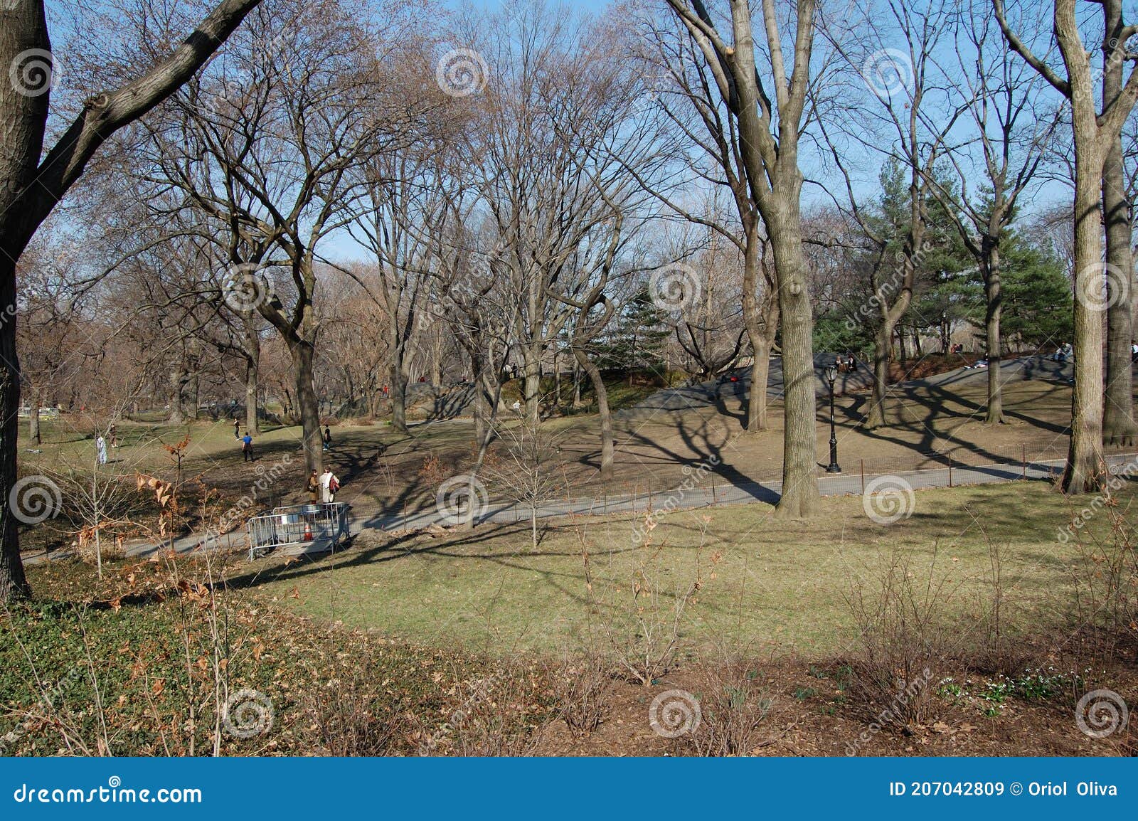 view of the most emblematic buildings and skyscrapers of manhattan (new york). central park.