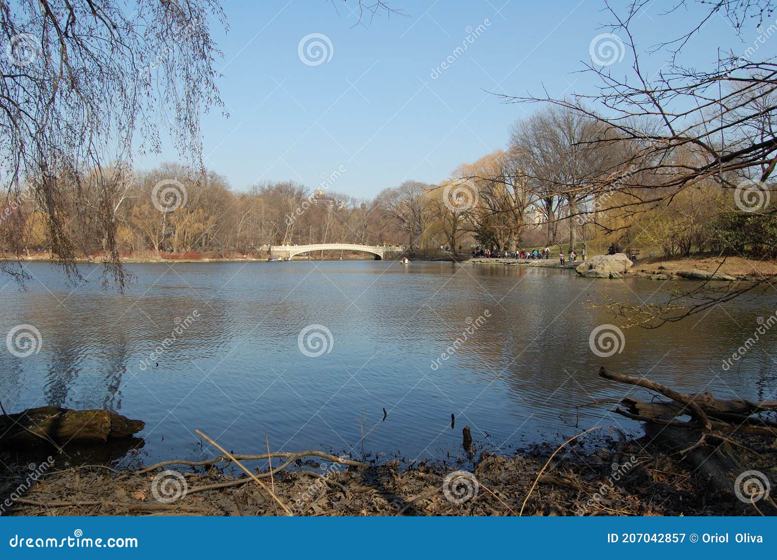 view of the most emblematic buildings and skyscrapers of manhattan (new york). central park