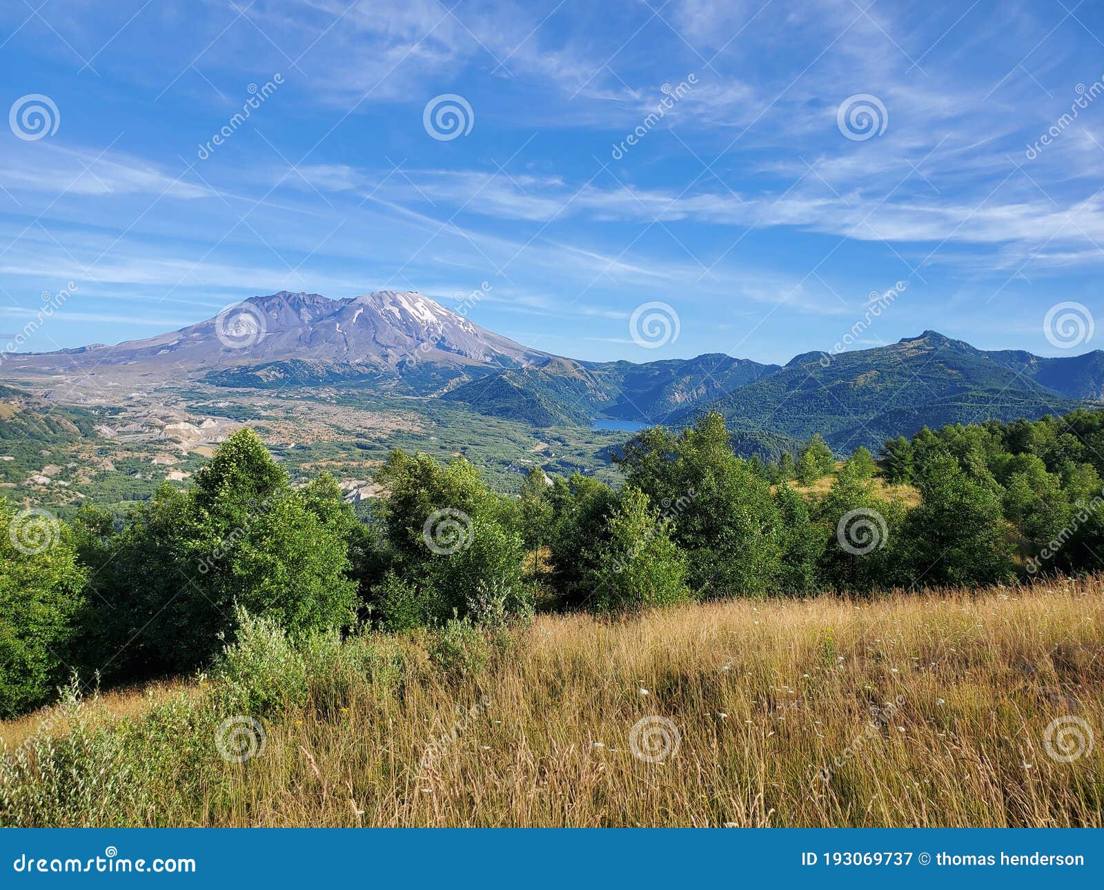stock image. Image of hill, meadow, forest, ridge, pasture 193069737