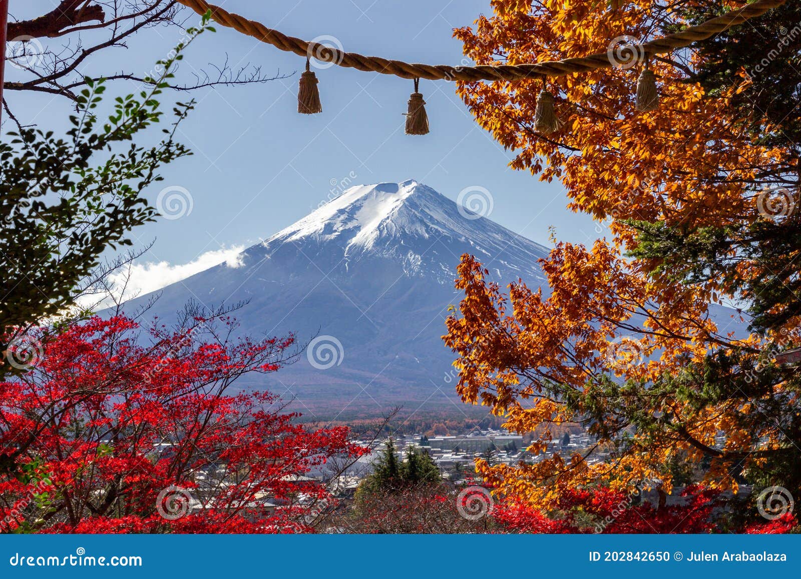 view of mountain fuji in autumn japon