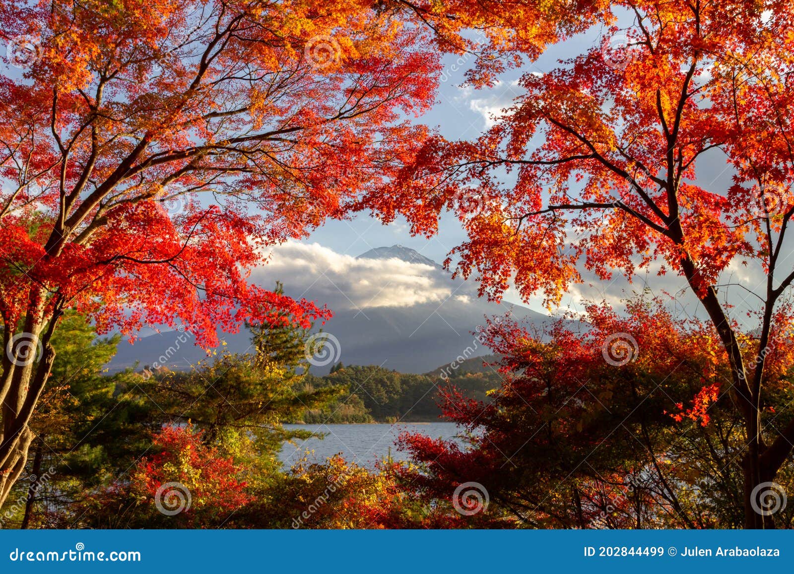 view of mountain fuji in autumn japon