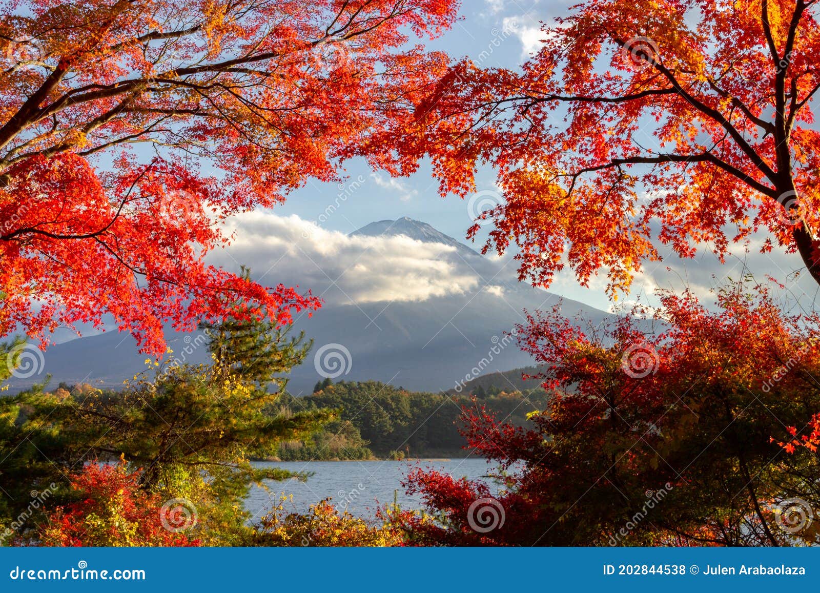 view of mountain fuji in autumn japon