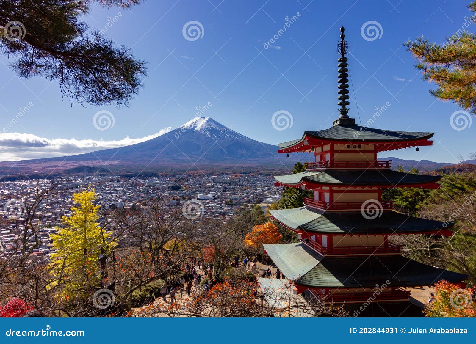 view of mountain fuji in autumn japon