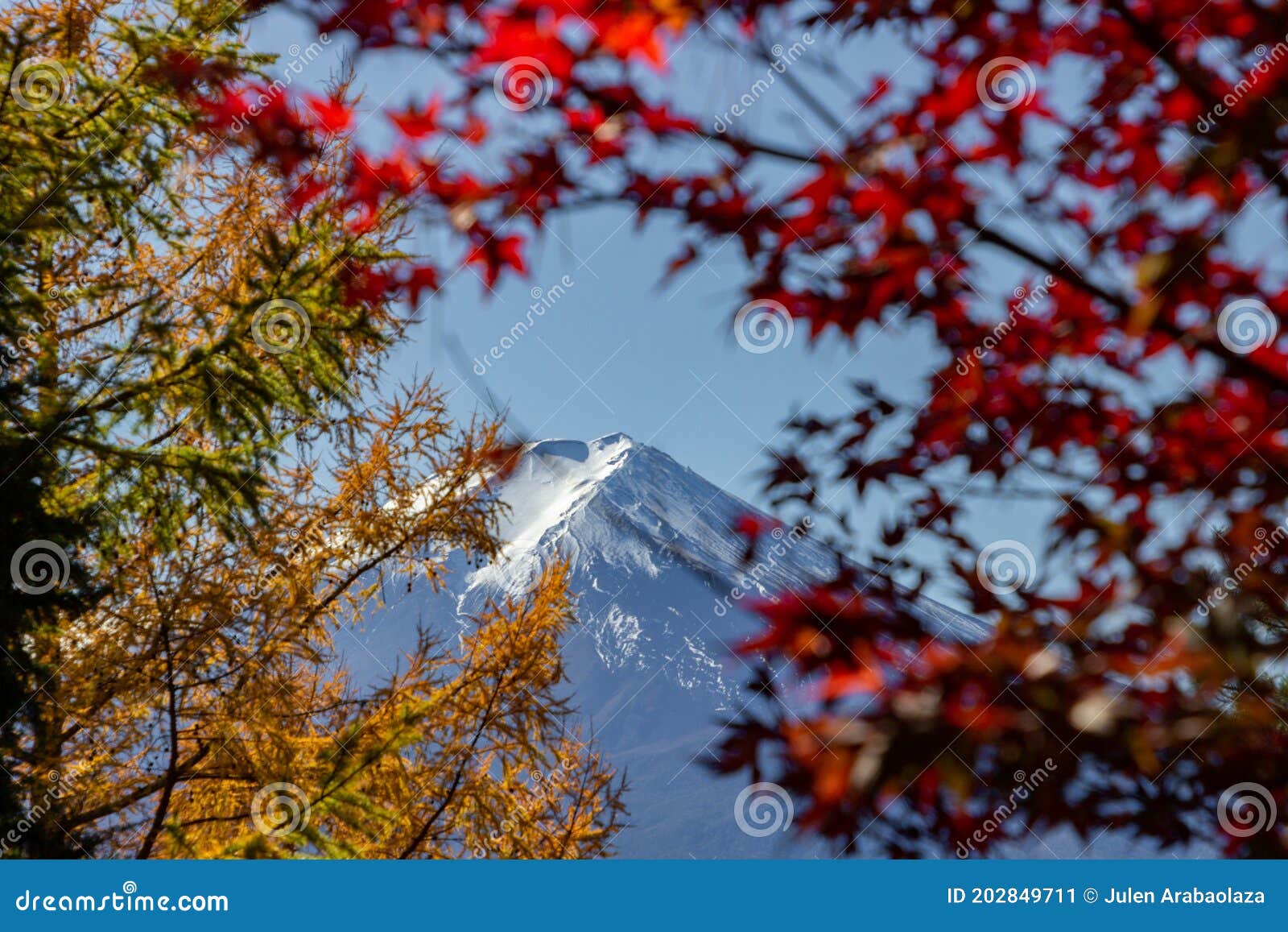 view of mountain fuji in autumn japon