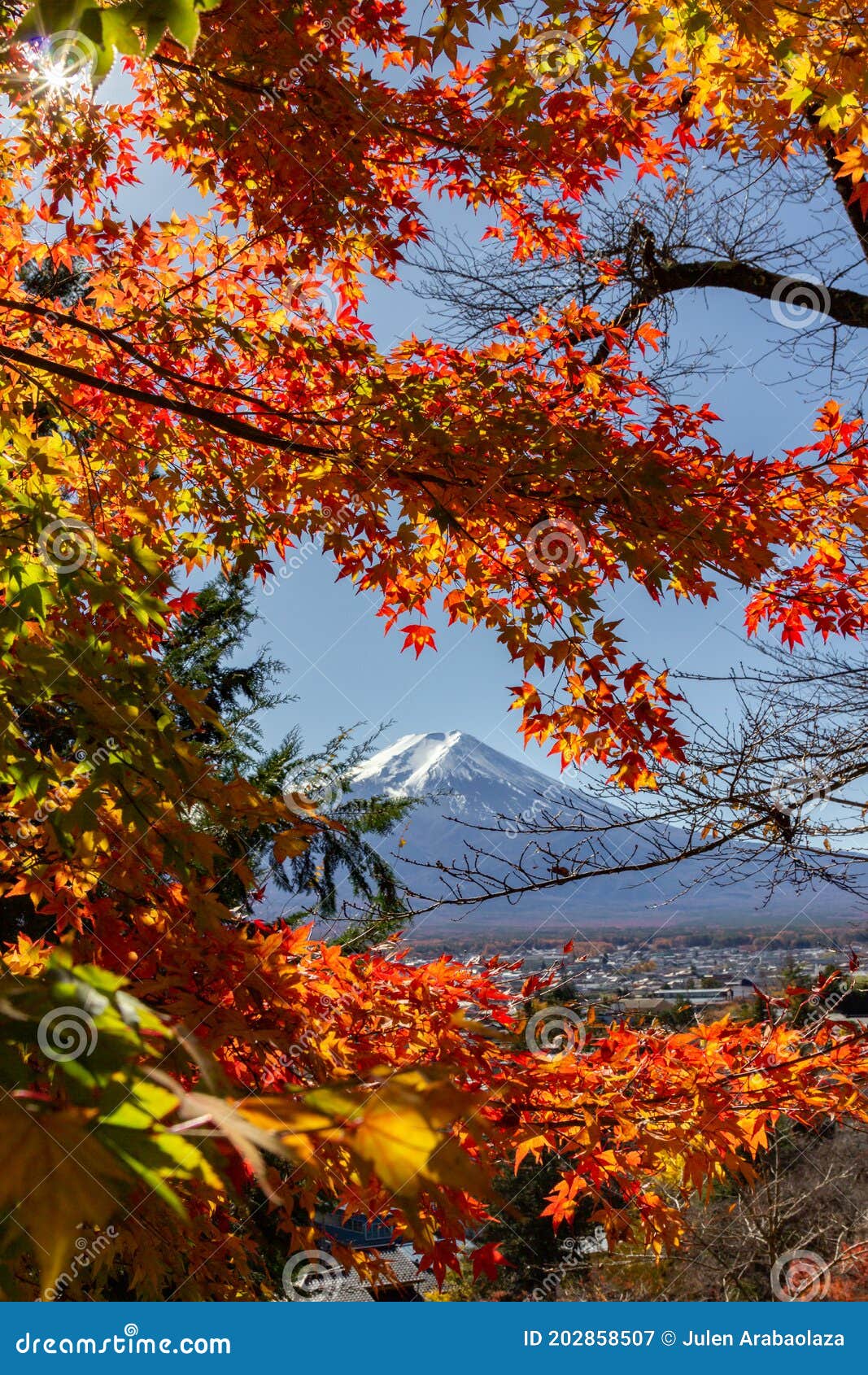 view of mountain fuji in autumn japon