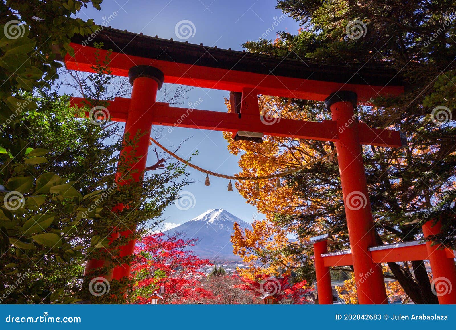 view of mountain fuji in autumn japon