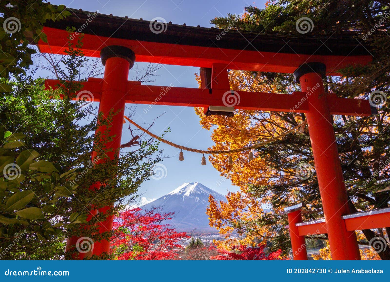 view of mountain fuji in autumn japon