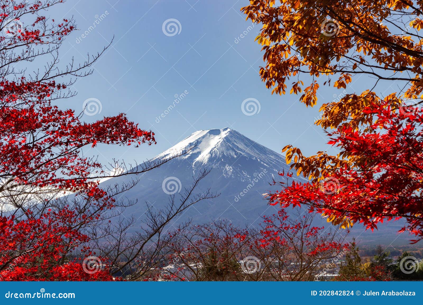 view of mountain fuji in autumn japon