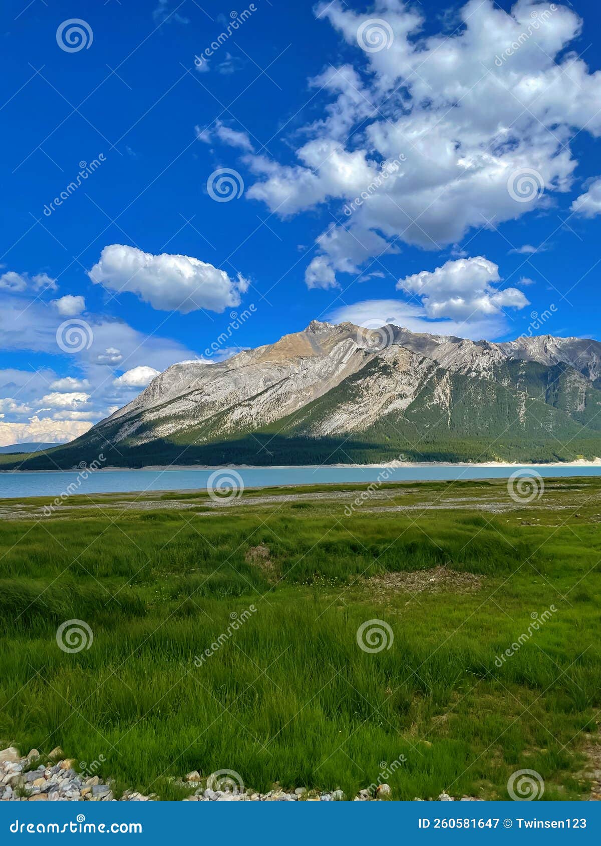 View of a Mountain Lake in Canada Stock Image Image of alpine