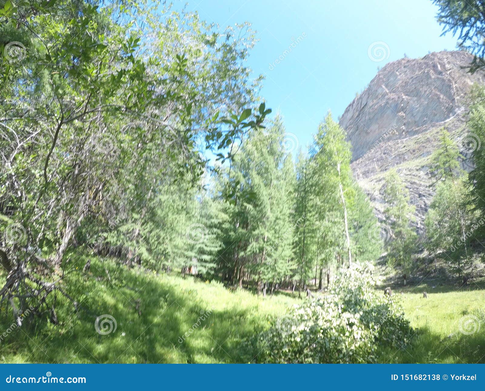 View Of The Mountain Range Overgrown With Taiga In The Valley Of The