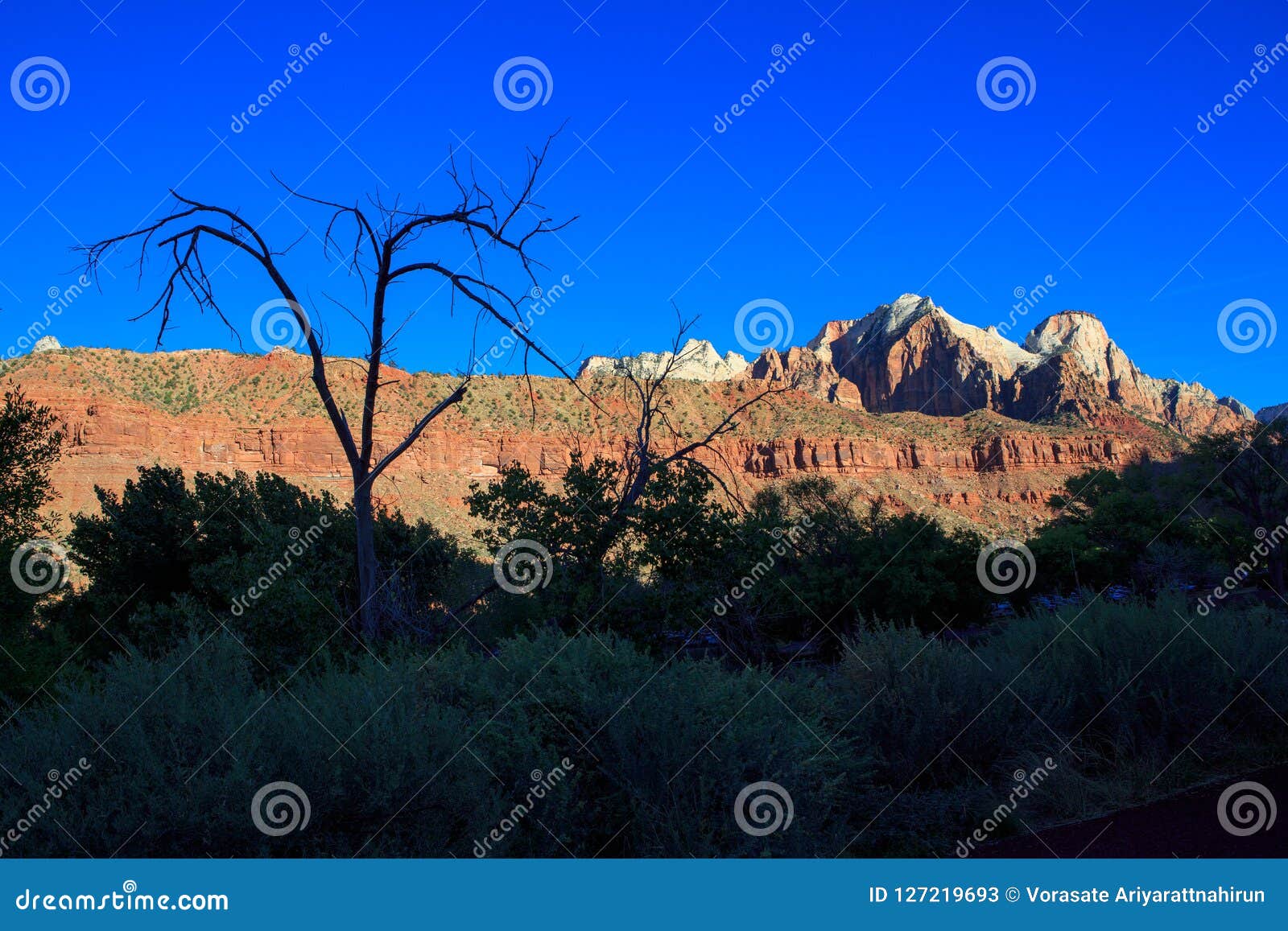 View Of The Mountain Range In Zion National Park Located In The Stock