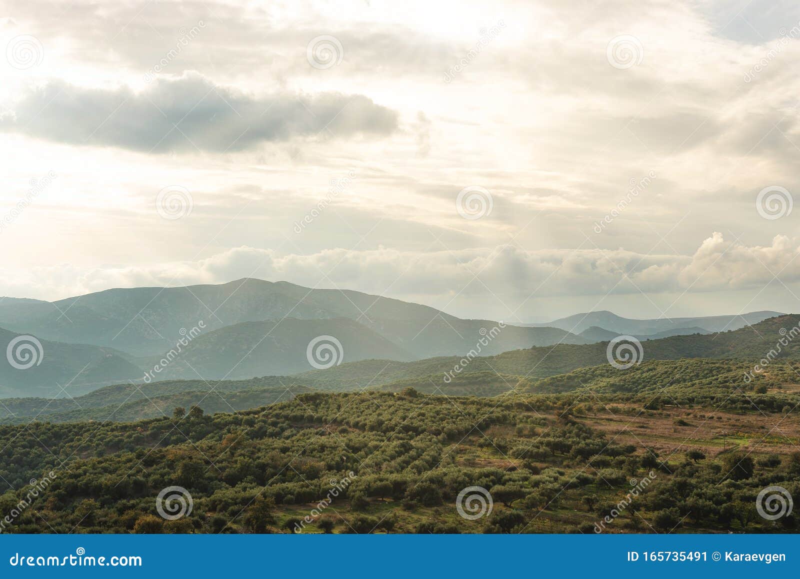 view of mountaine with olive tree plantations on sky background. crete