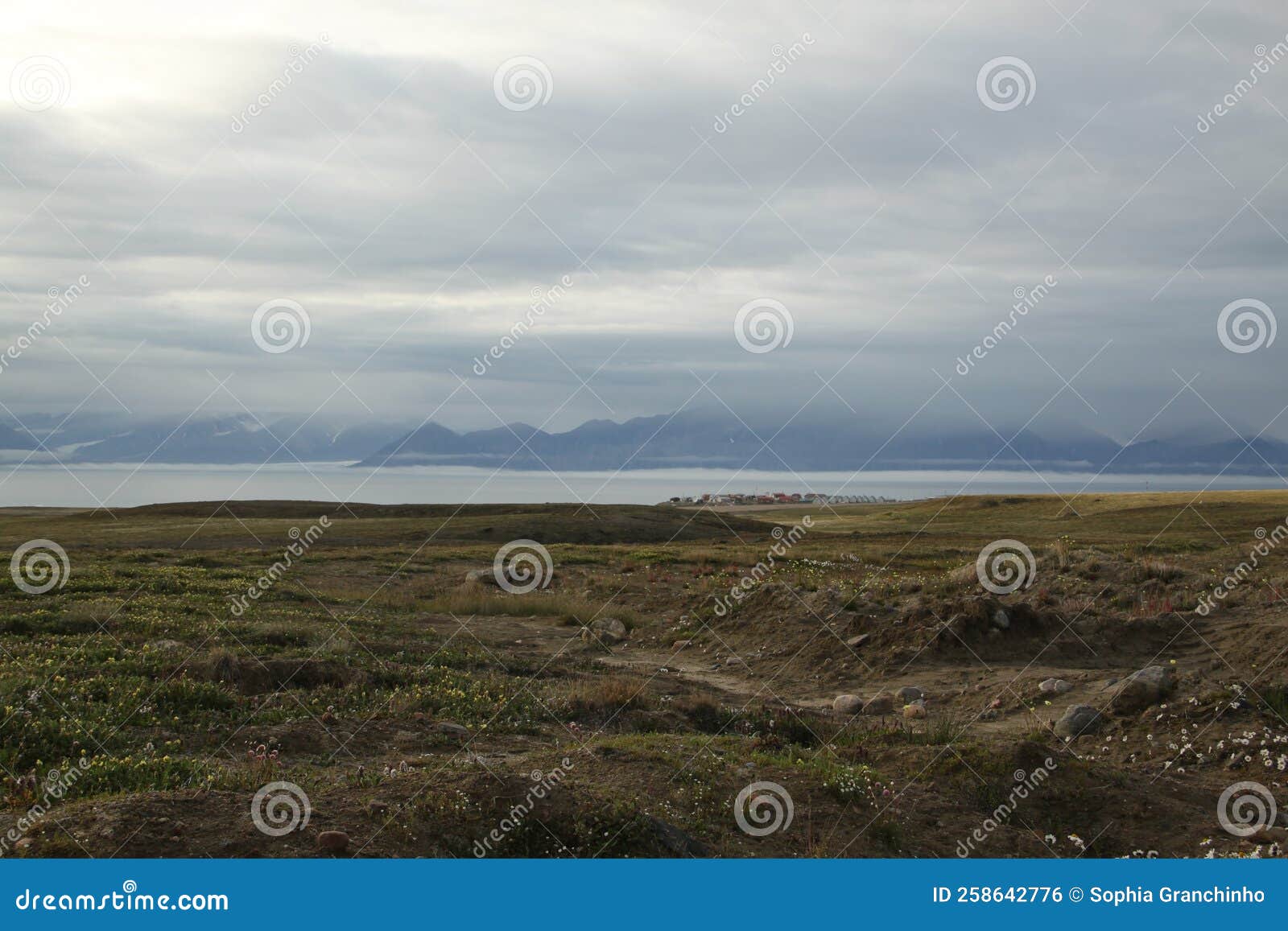 view of mountains across the bay from the community of pond inlet, nunavut, canada
