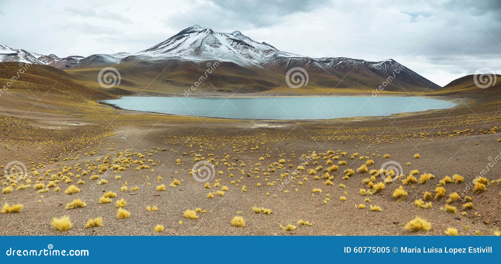 view of mountains and miscanti lagoon in sico pass