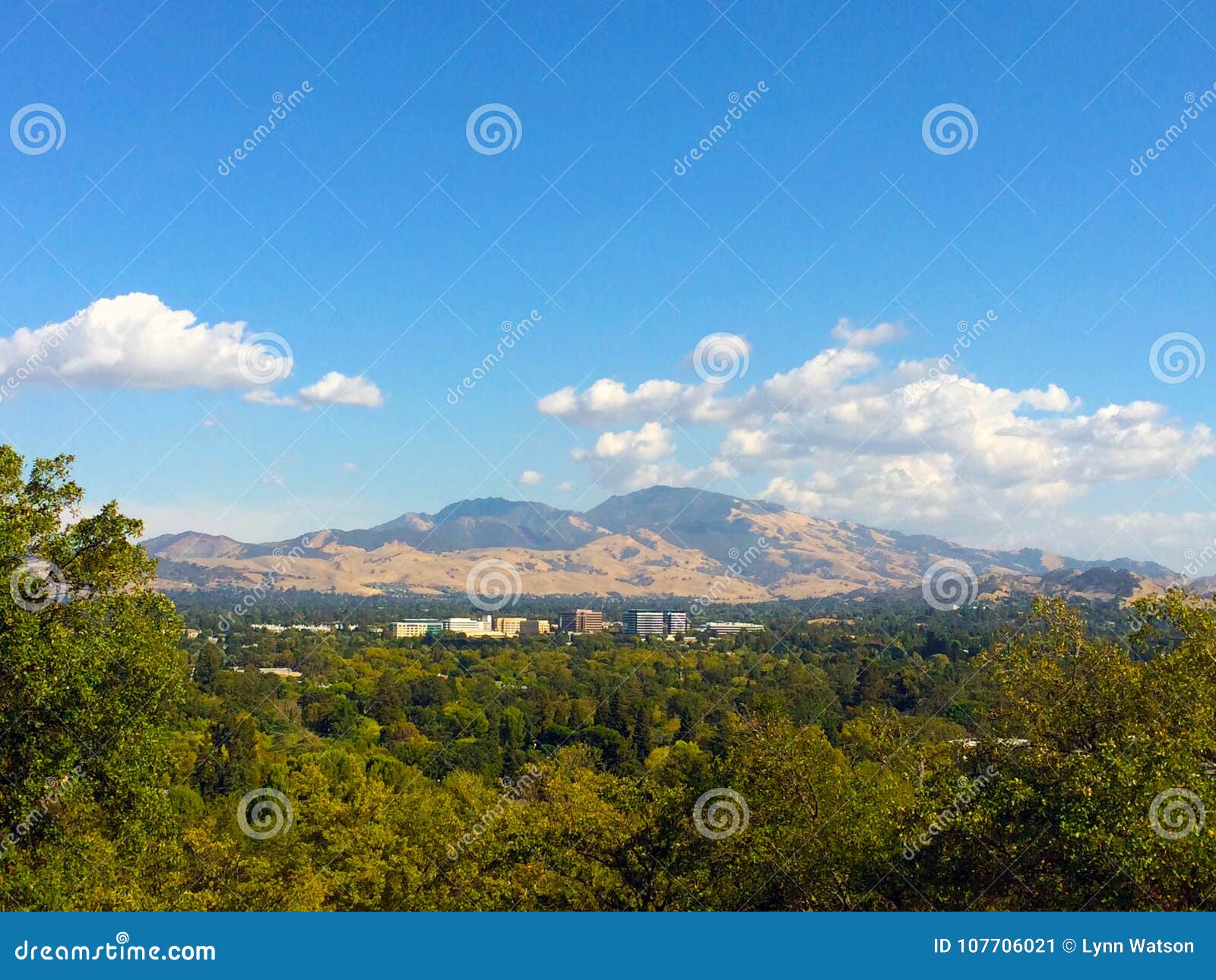 view of mt diablo and downtown walnut creek