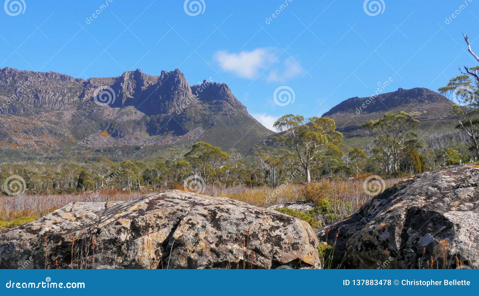 the view of mt ossa rom the overland track with dolerite boulders in the foreground