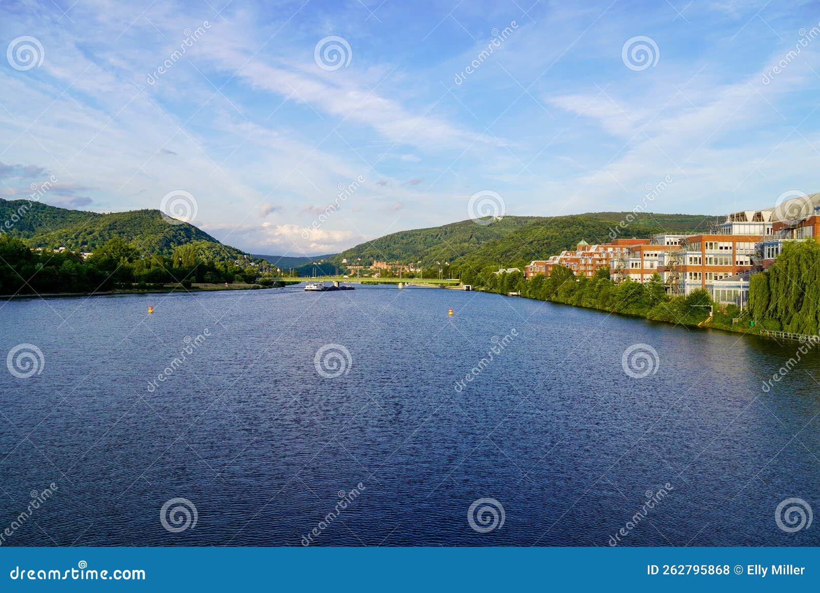 view of the neckar and heidelberg from the wehrsteg wieblingen.