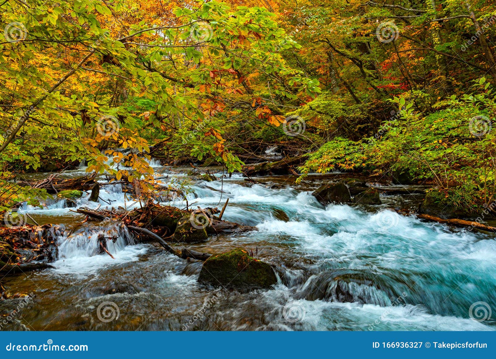 View Of Oirase Mountain Stream Flow Over Rocks Stock Image Image Of