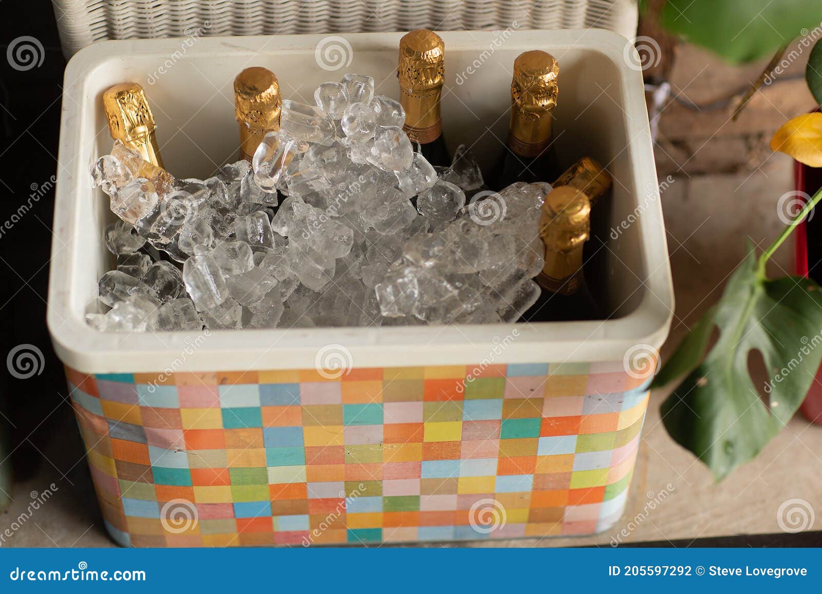 old vintage esky with ice and bottles of generic sparkling white wine with gold foil tops