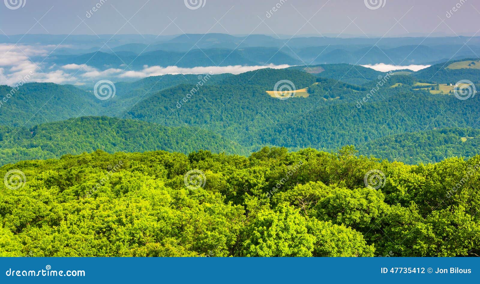view from olson observation tower, monongahela national forest,
