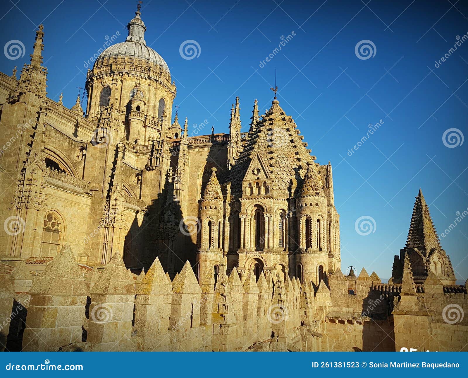 view of one of the salamanca cathedral.