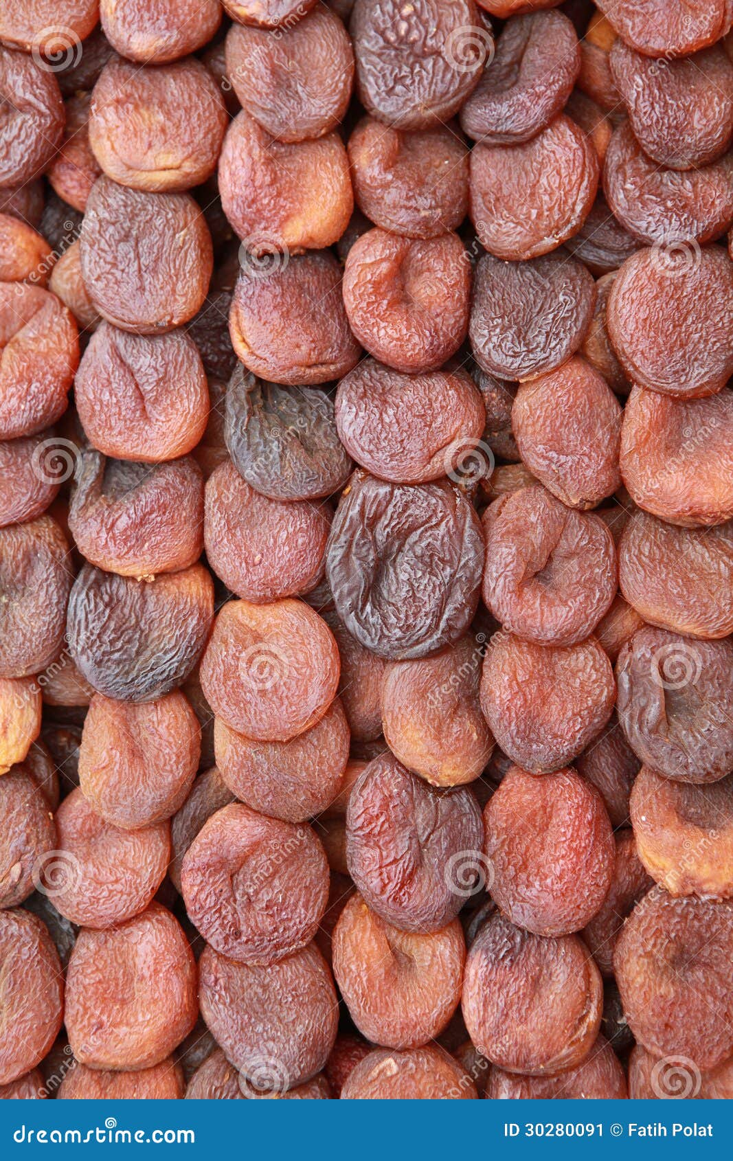 Organic Apricot of Malatya, Turkey. Stock Image Image of health, tree