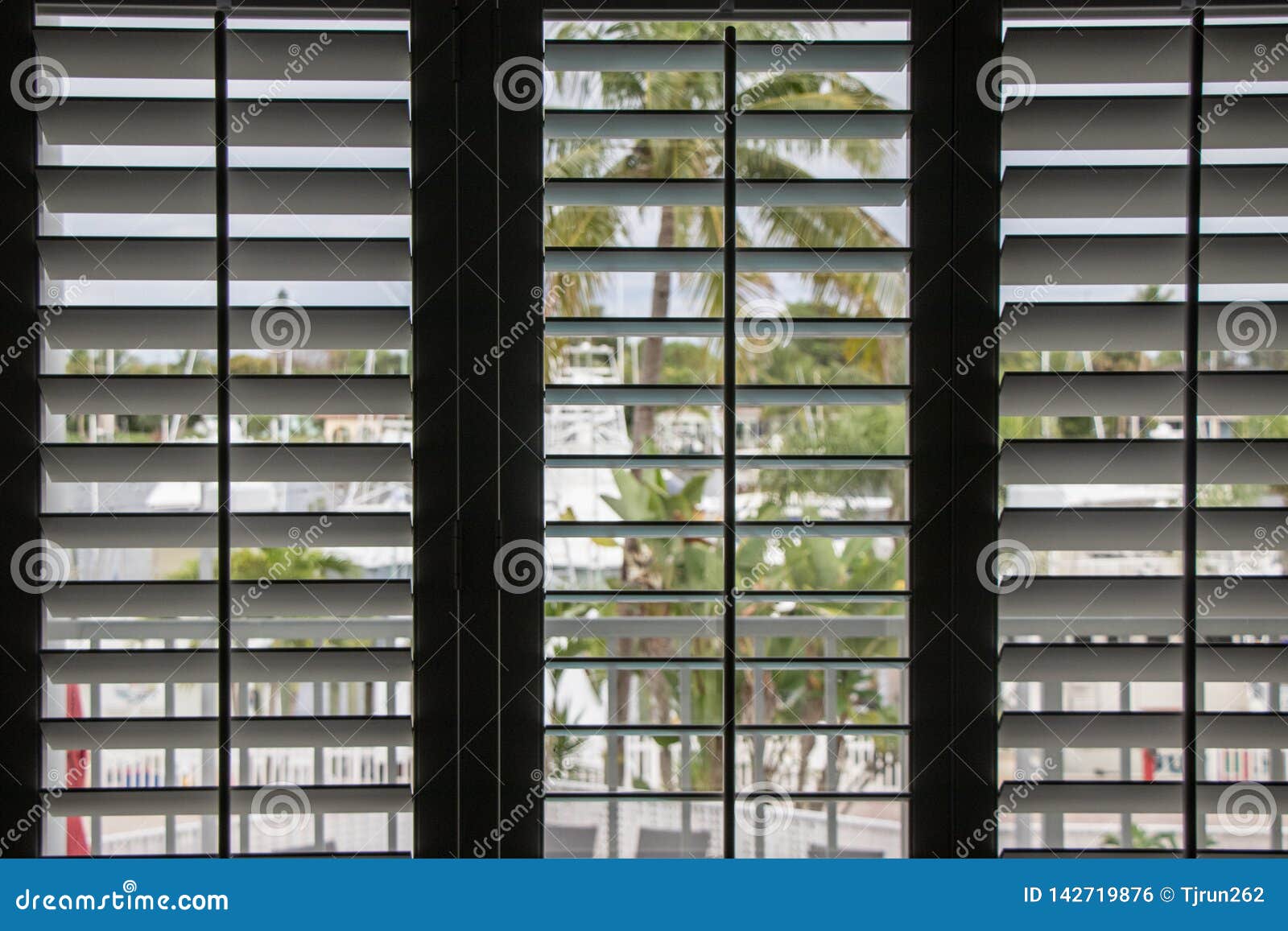 Looking Out through the Shutters Stock Photo - Image of shutters, trees ...