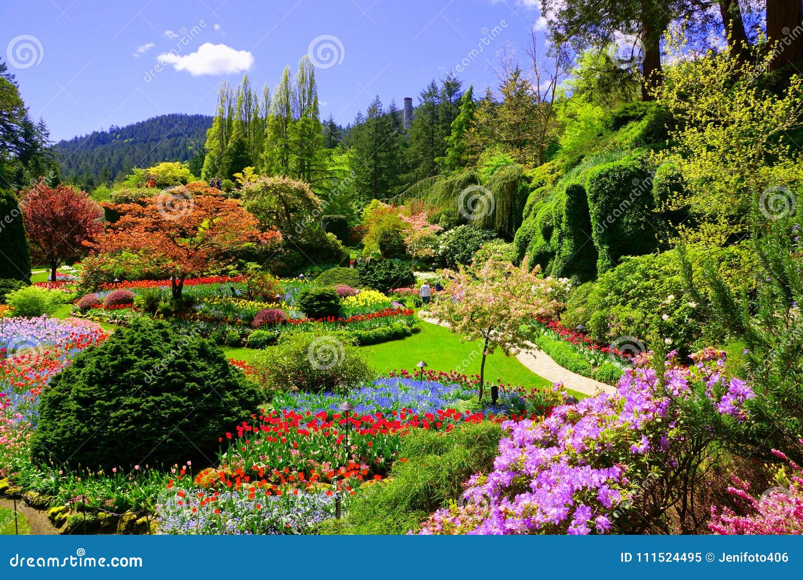 view over colorful flowers of a garden at springtime, victoria, canada
