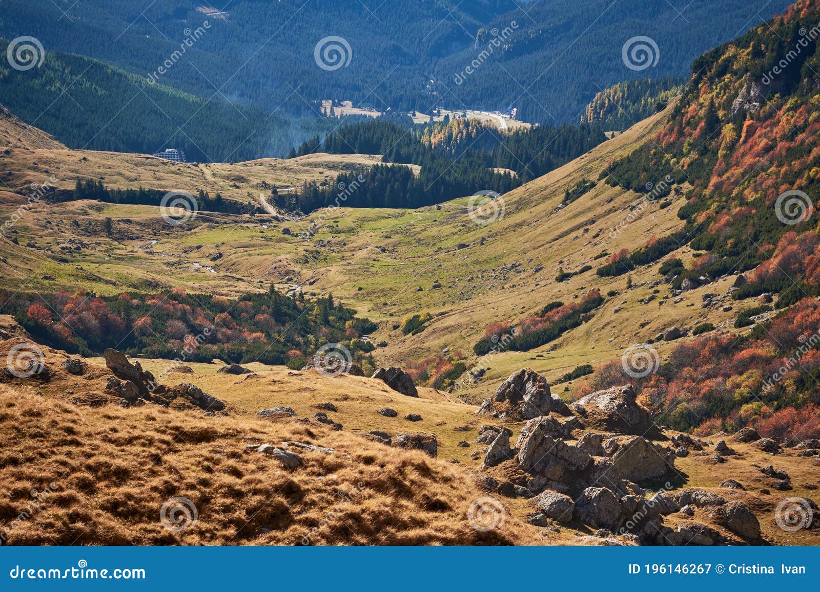 view over a mountain valley with autumn colorful vegetation
