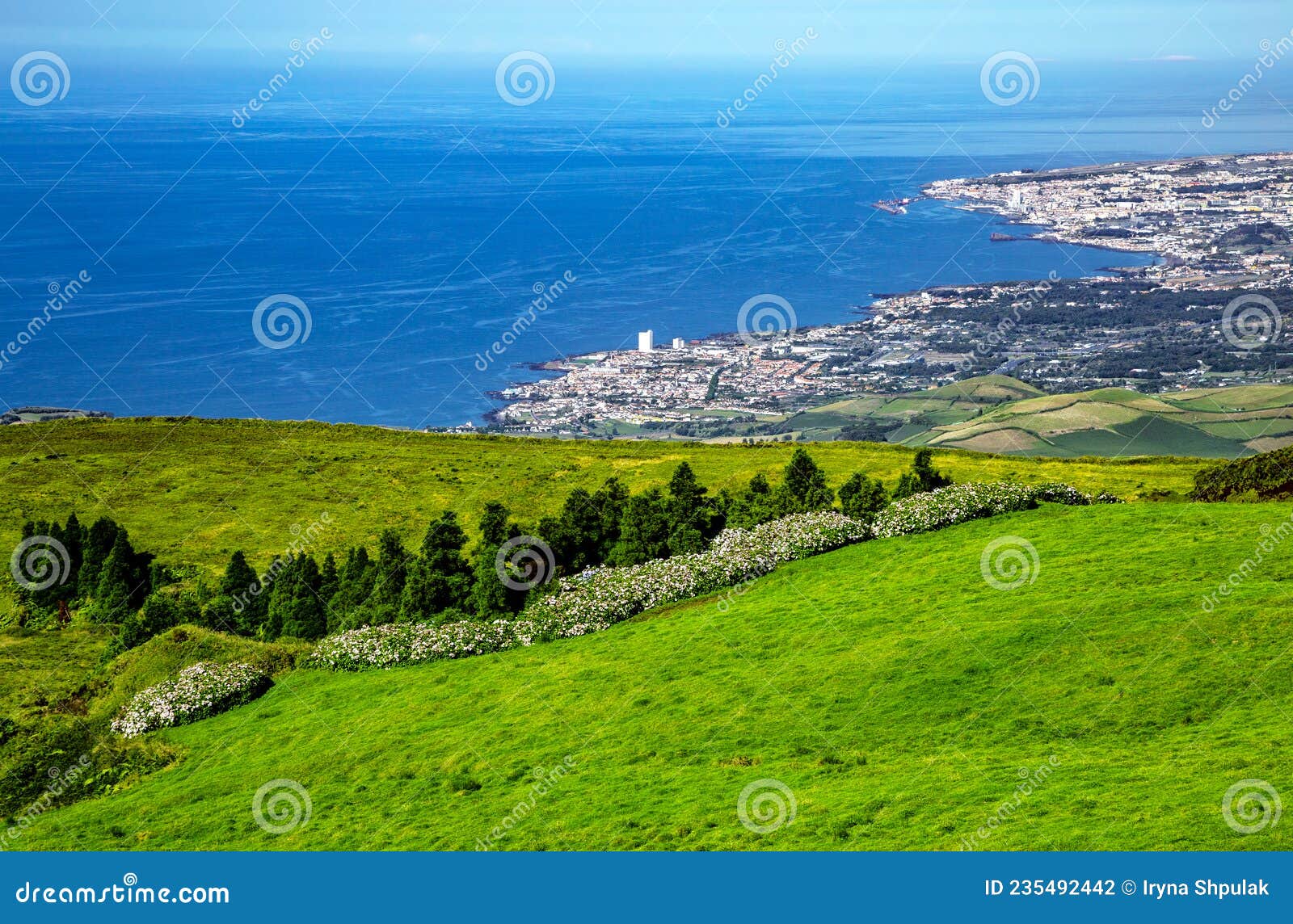 view over the south coast to the west, sÃÂ£o miguel island, azores, aÃÂ§ores, portugal, europe