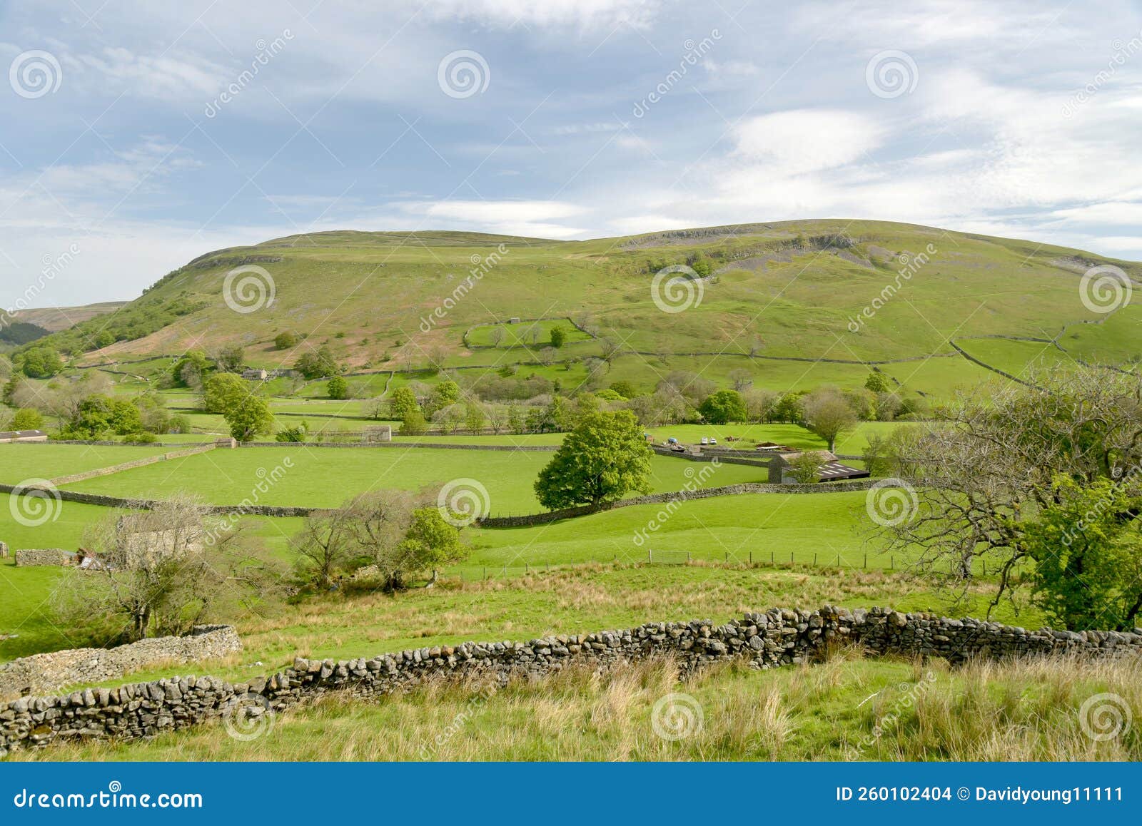 view over swaledale from path above reeth in yorkshire dales
