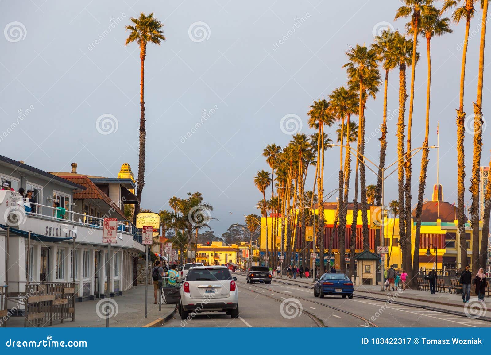 View of a Palm Alley Along Beach Street, Santa Cruz, USA Editorial ...