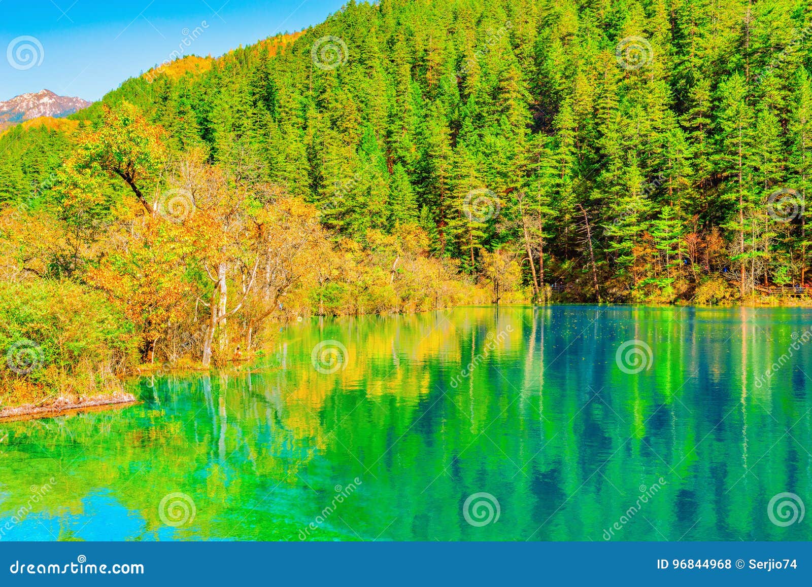 View Of Panda Lake At Autumn Sunset Time Stock Photo Image Of Plant