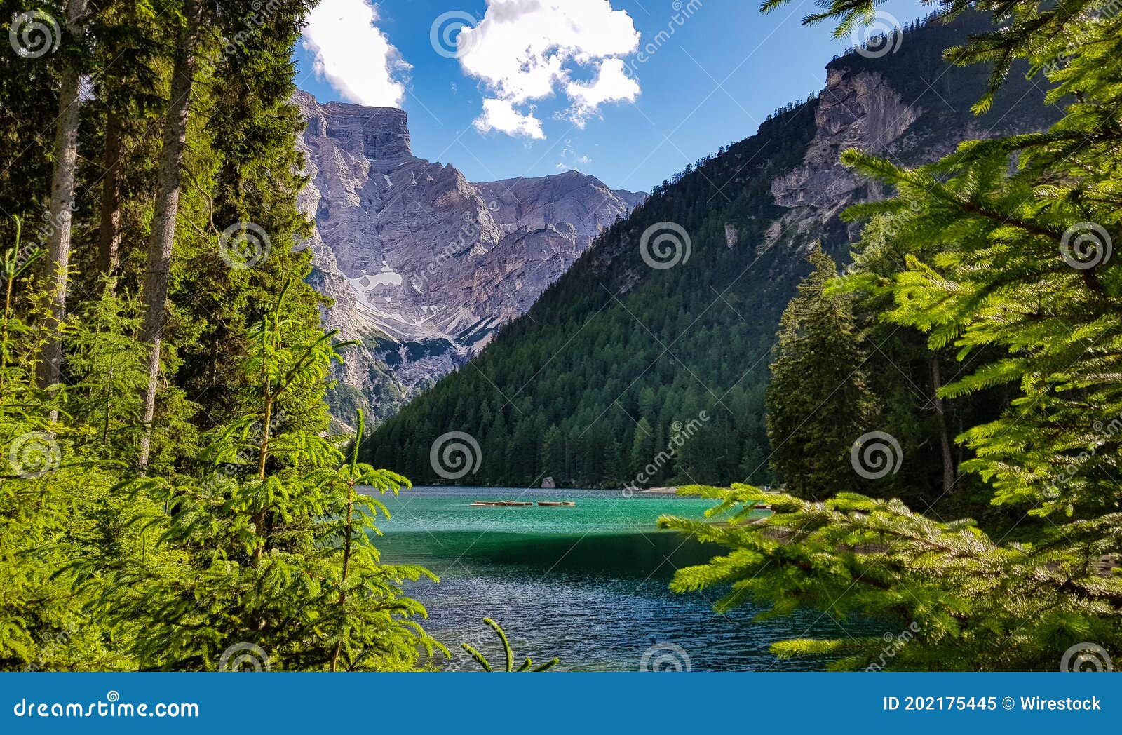 view of the park of fanes-sennes-braies in mareo italy