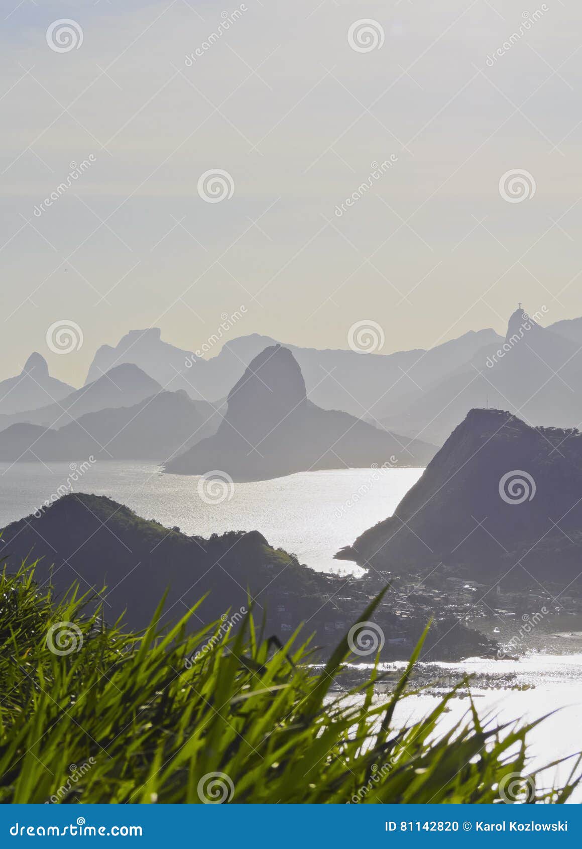 view from parque da cidade in niteroi