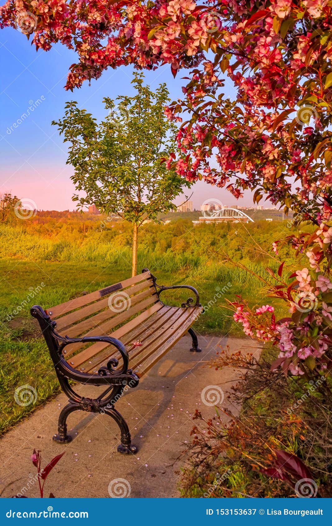 peaceful scenery with benches peaceful scenery with benches