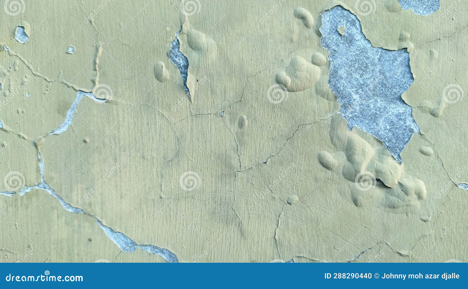 View of Peeled Paint Off Wall Stock Photo Image of leaf, terrain