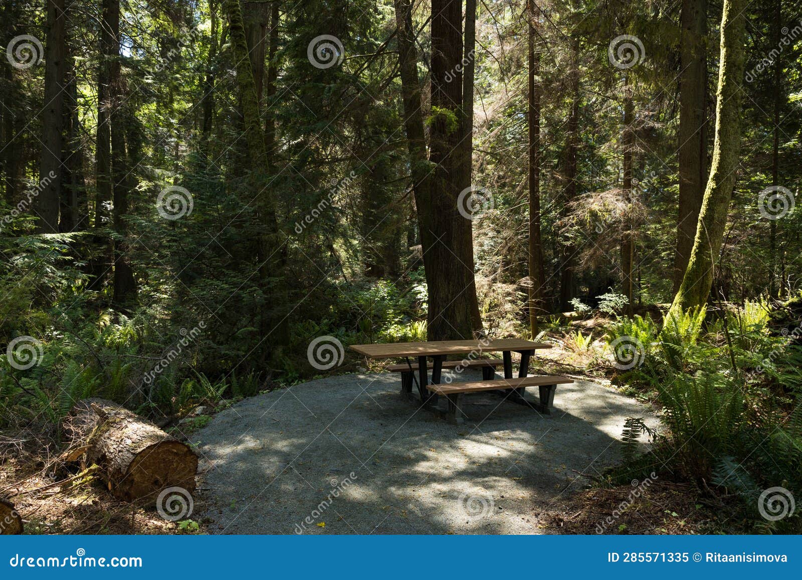 View of Picnic Area with a Table Inside the Lighthouse Park Stock Image