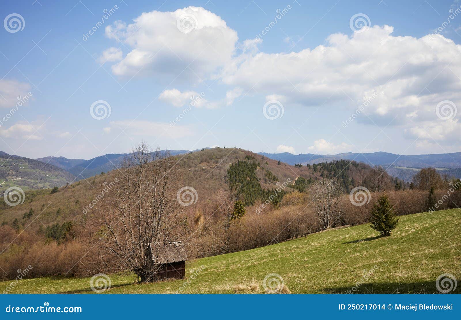 view of the pienin mountains on a sunny day, poland