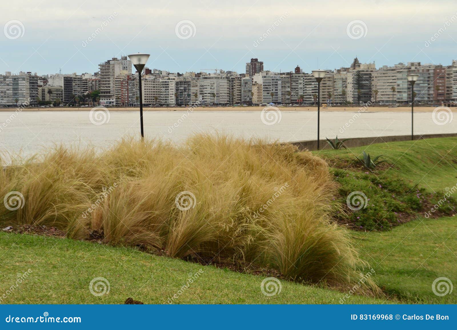 view of pocitos beach