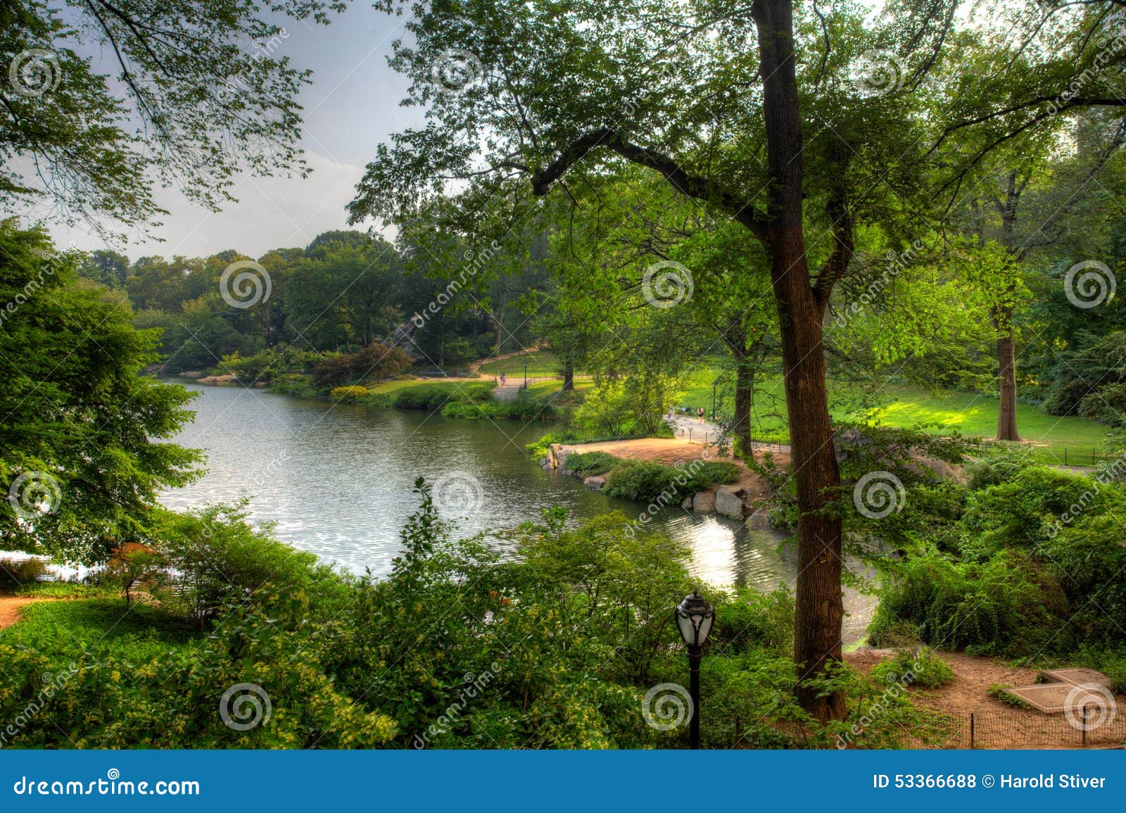 View at a Pond in Central Park, New York Stock Photo Image of