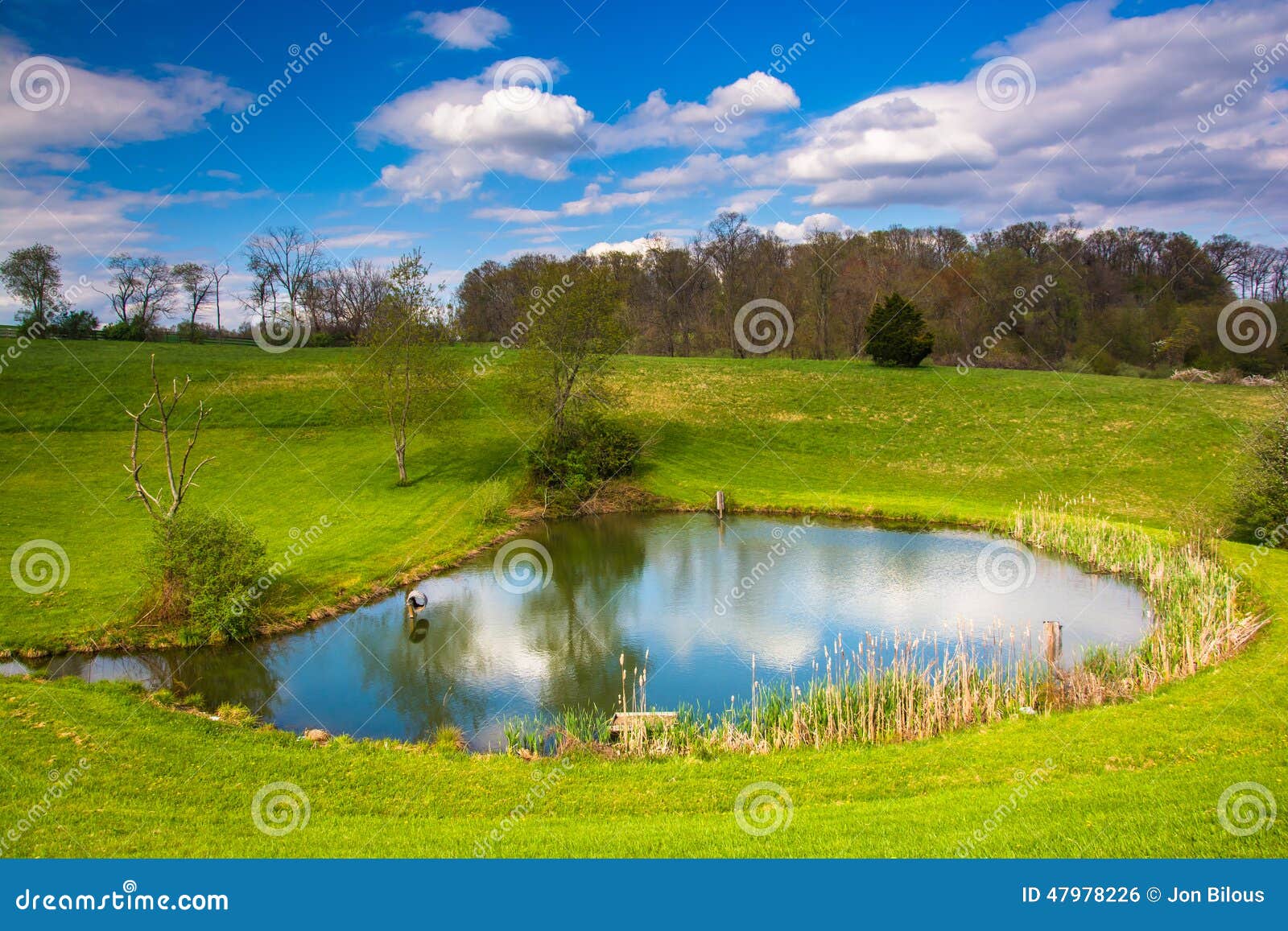 View of a Pond in Rural York County, Pennsylvania. Stock Photo Image