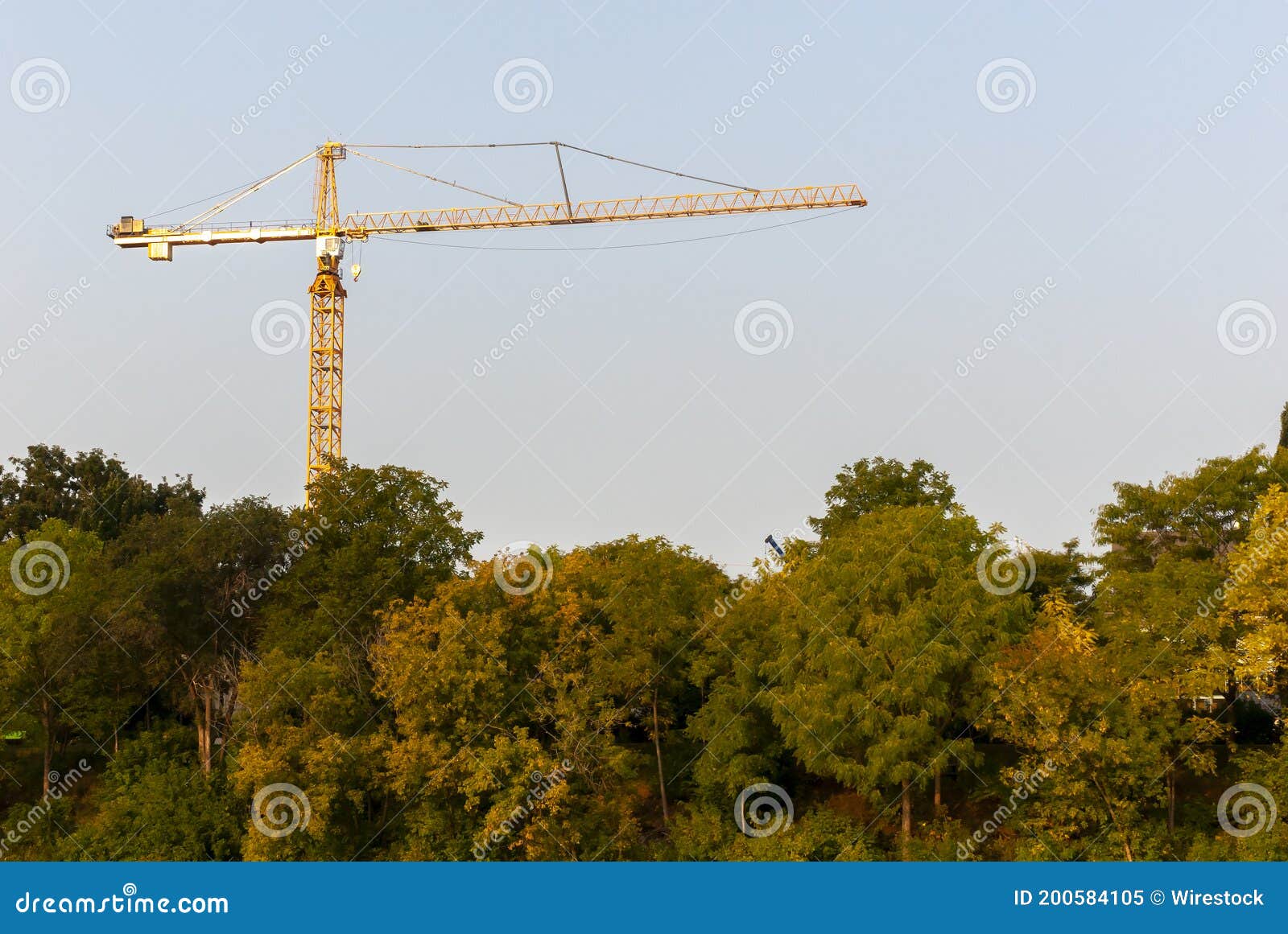 view of potain tower crane under the trees