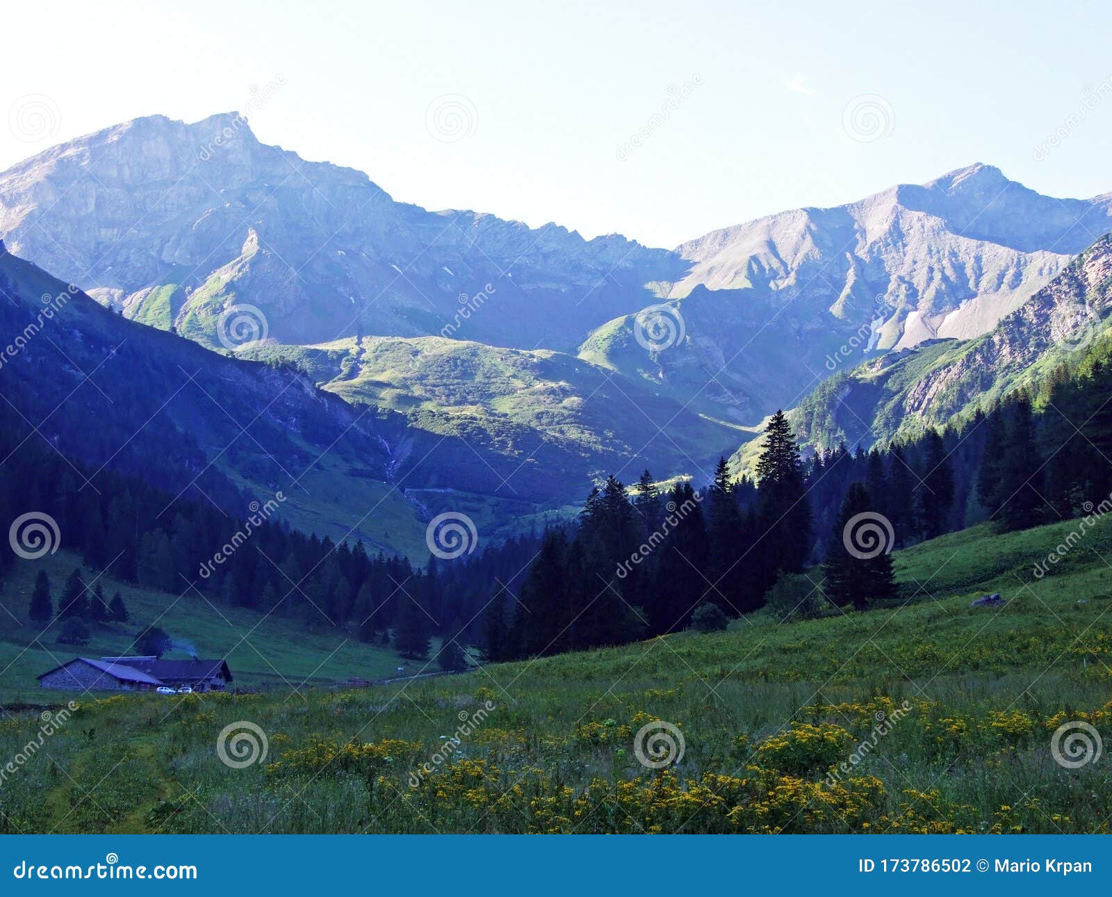 view of the ratikon border alpine mountain massif or rÃÂ¤tikon grenzmassiv oder raetikon from liechtenstein alps - steg