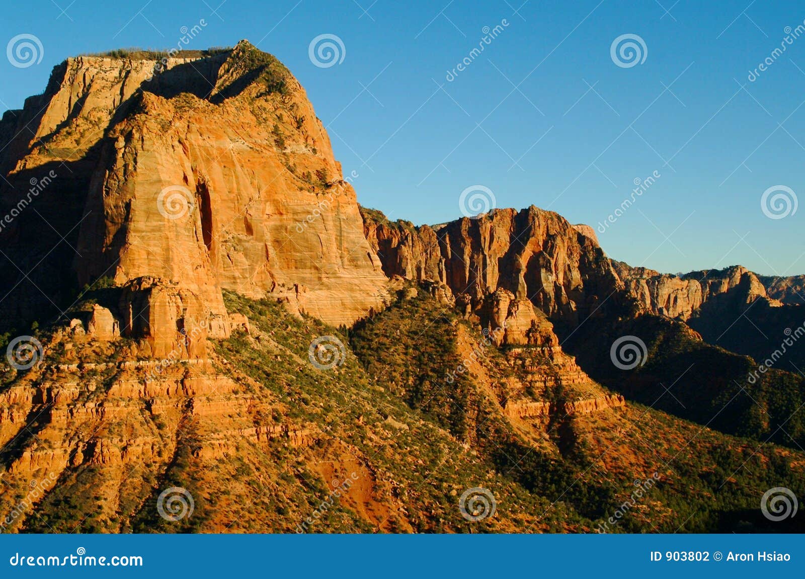 view of red rocks and landscape in zions national park (iii)